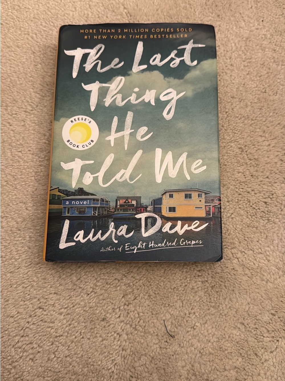 The Last Thing He Told Me book